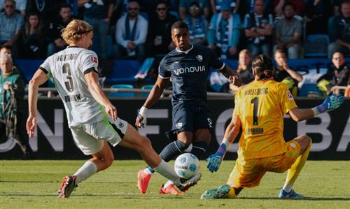 โบคุ่ม วีเอฟแอล โวล์ฟสบวร์ก