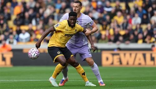 วูล์ฟส์ พบ ไบรท์ตัน