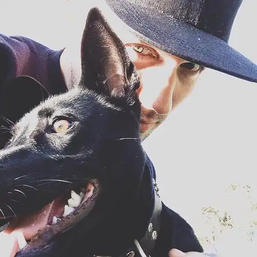 6686体育高级作者Nina