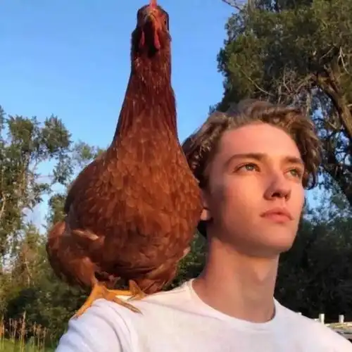 6686体育初级作者甜味超标