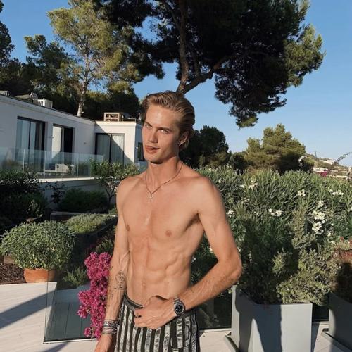 6686体育钻石作者风住尘香花